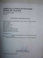 Certificado de libre de displasia de Cadera (Clasificación FCI "A") de Montserrat del Maipo Gina. Hembra del Criadero Rêve d'Etranger. 