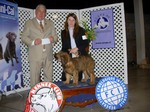 Amelie Reve de Etranger (Cachorra hija de Hugo Eagles y Montserrat del Maipo Gina) con su handler Melania Zilic Schmidt en el podio con el juez  Sr. Adriano Bosa en la exposición del Kennel Club de Chile. Amelie Reve de Etranger obtuvo en esa exposición el primer lugar en la  categoría cachorros especiales (de 3 a 6 meses)