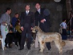 Hugo Eagles (Conocido como Chewbaka) junto al Señor Juez Luiz Fernando Ribas Silva (Brasil), quien le otorgó CACLAB (Certificado de aptitud para campeón latinoamericano) en la exposición del NKC en Argentina y su handler Ivan Zilic.