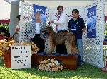 Podio con la Jueza Sra Virginia Lynne quien entrego mejor de grupo en categoría cachorro a Galois Reve de Etranger