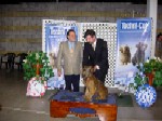 La Petite Rêve d'Étranger recibe el primer premio (categoría cachorros especiales) otorgado por el juez señor Gutemberg Soarez de Brasil. La Petite es hija de Hugo Eagles (Conocido como Chewbaka). La Petite es presentada por Ivan Zilic. 