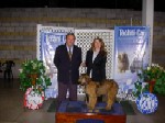 Amelie Rêve d'Étranger recibe el primer premio (categoría cachorros especiales) otorgado por el juez señor Horst Klibenstein de Alemania. Amelie es hija de Hugo Eagles (Conocido como Chewbaka). Amelie es presentada por Melania Zilic. 